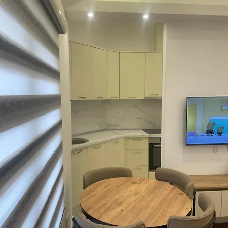 Sofija Zagoric Apartamento Podgorica